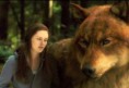 /album/fenykepgaleria/eclipse-bella-jacob-twilight-series-13721715-1024-708-jpg/